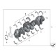 Vilebrequin BMW pour bmw n55b30 série F..