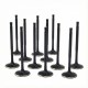 BMW 3.0L N54 ZRP Std Intake Black Nitride Valves