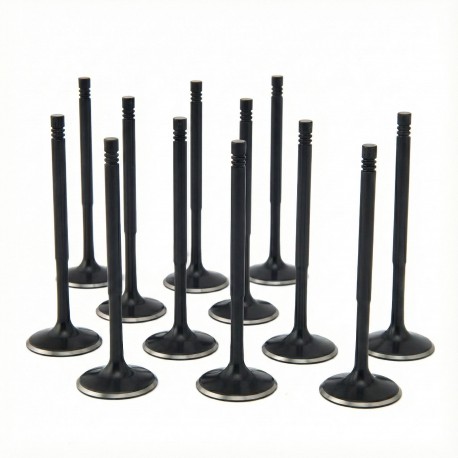 BMW 3.0L N54 ZRP Std Intake Black Nitride Valves