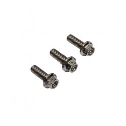 Mosselman bolt set, Titanium GR5 hex-race, M8X25