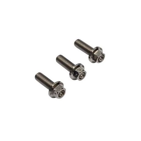 Mosselman bolt set, Titanium GR5 hex-race, M8X25