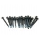 Vis torx AAC échappement bmw n55 e.. / 11127535024