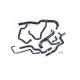 Durites de refroidissement silicone Forge pour Renault Clio 3 RS