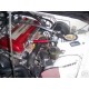 Engine Damper Rouge Japspeed